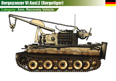 Germany Bergepanzer VI Ausf.E